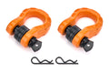 D-RING SHACKLES 8T-0